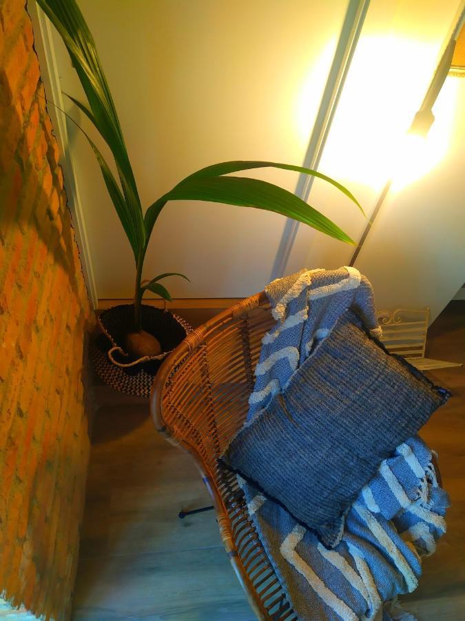 Arrels Apartaments Л'Ампола Екстериор снимка